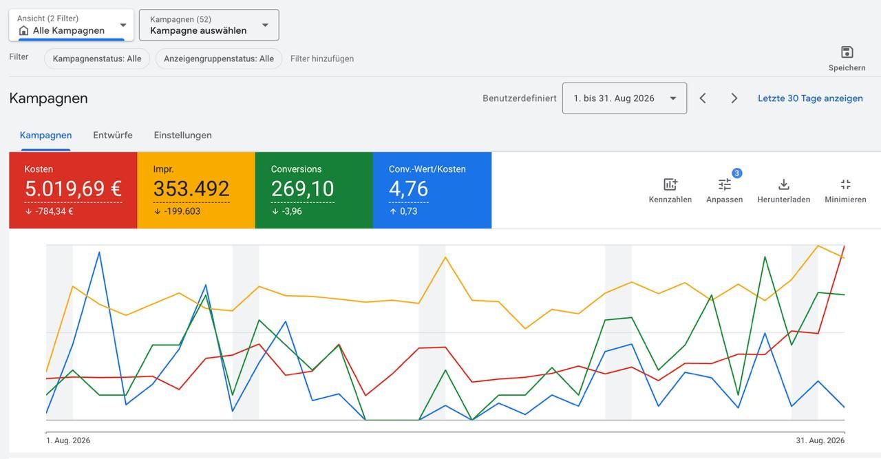 Google Ads, Konto eines Online-Shops · August 2026
