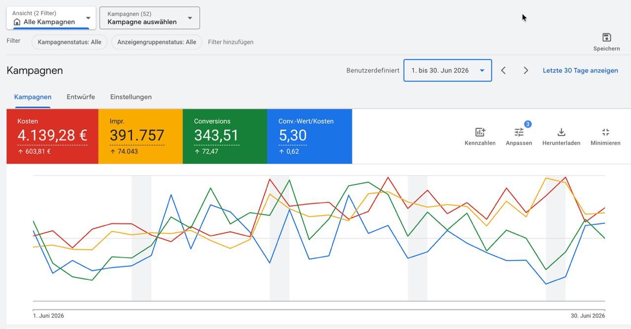 Google Ads, Konto eines Online-Shops · Juni 2026